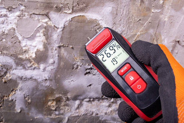 Best Health and Safety Mold Remediation in Hilltop, MN