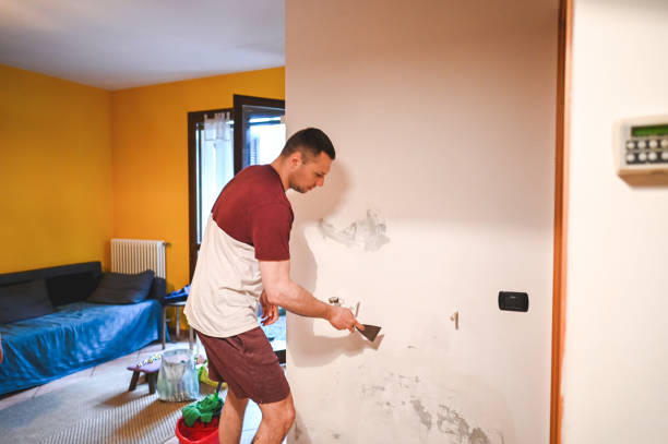 Best Basement Mold Remediation in Hilltop, MN